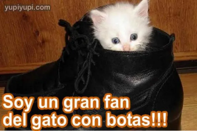 Animales tiernos y chistosos - Imagui