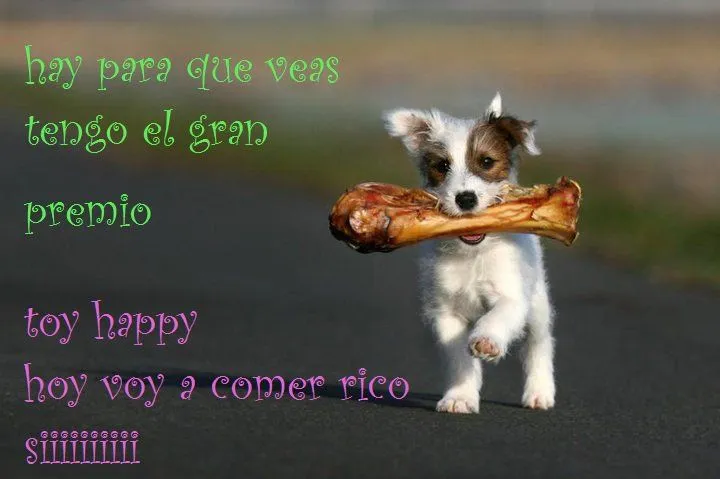 Animales Tiernos Inspiran: ver graciosas imagenes con frases ... Animales Tiernos Inspiran: ver graciosas imagenes con frases ...