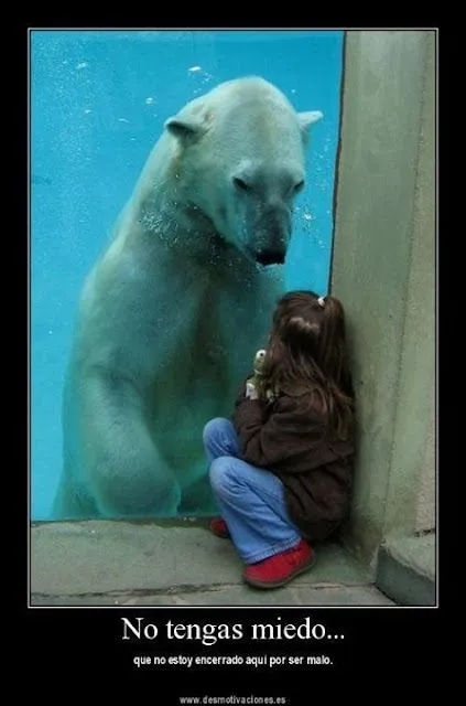 Animales Tiernos Inspiran: ver graciosas imagenes con frases ... Animales Tiernos Inspiran: ver graciosas imagenes con frases ...
