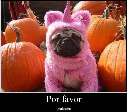 Animales Tiernos Inspiran: ver graciosas imagenes con frases ... Animales Tiernos Inspiran: ver graciosas imagenes con frases ...