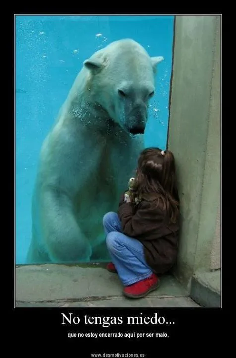 Animales Tiernos Inspiran: ver graciosas imagenes con frases ... Animales Tiernos Inspiran: ver graciosas imagenes con frases ...