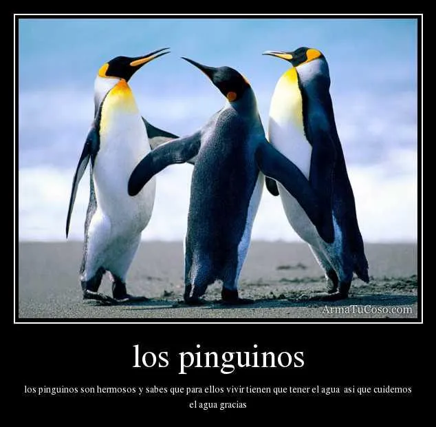 Animales Tiernos Inspiran: imagenes de desmotivaciones reales de ... Animales Tiernos Inspiran: imagenes de desmotivaciones reales de ...