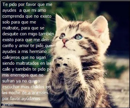 Animales Tiernos Inspiran: ver Imagenes con frases tristes de animales Animales Tiernos Inspiran: ver Imagenes con frases tristes de animales