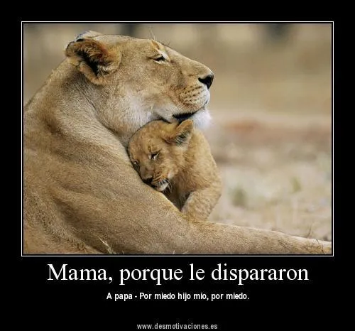 Animales Tiernos Inspiran: ver Imagenes con frases tristes de animales Animales Tiernos Inspiran: ver Imagenes con frases tristes de animales
