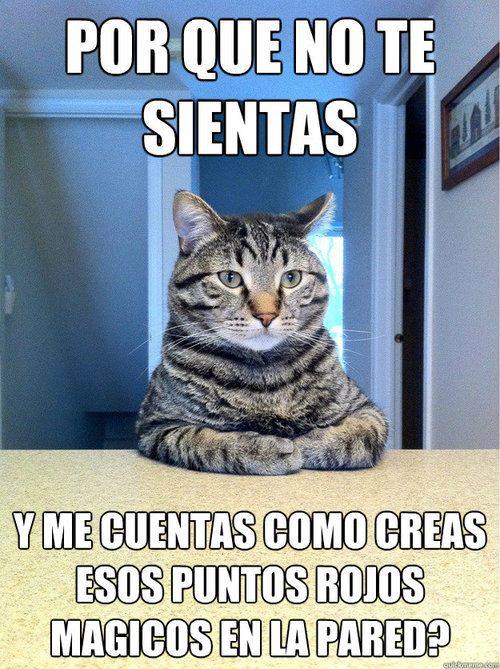 Animales Tiernos Inspiran: imagenes lindas graciosas de animales ... Animales Tiernos Inspiran: imagenes lindas graciosas de animales ...