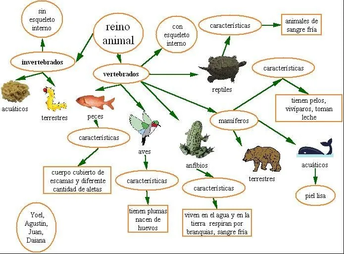 Animales vertebrado e invertebrados para colorear - Imagui ... Animales vertebrado e invertebrados para colorear - Imagui ...