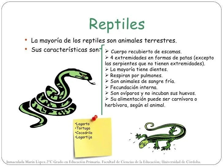 animales-vertebrados-11-728. ...