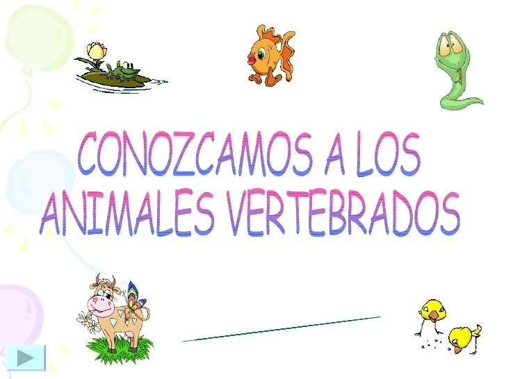 Animales Vertebrados