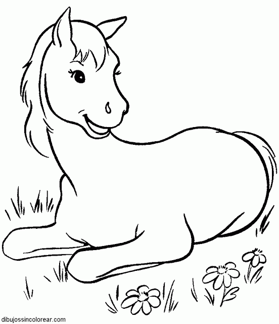 Animales vertebrados para dibujar facil - Imagui