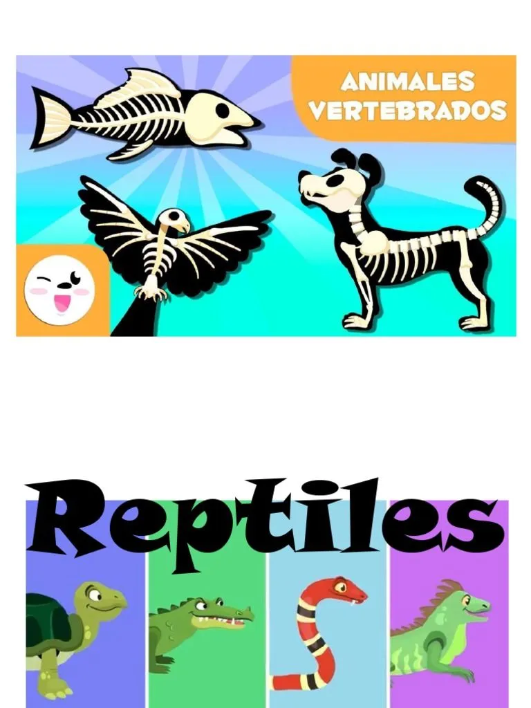 Animales Vertebrados Dibujos | PDF