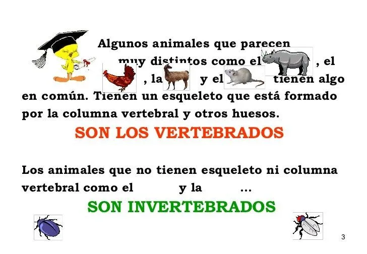 animales-vertebrados-e- ...