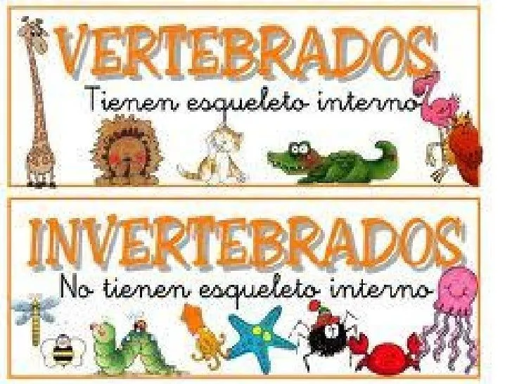 animales-vertebrados-e- ...