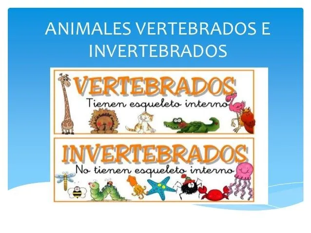 Animales vertebrados e invertebrados