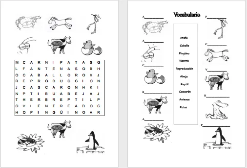 Animales vertebrados e invertebrados para colorear e imprimir - Imagui