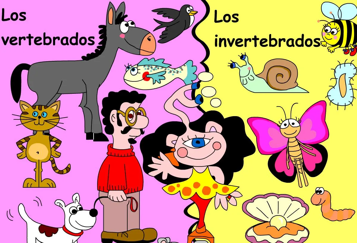 Animaves_vertebrados_e_ ...