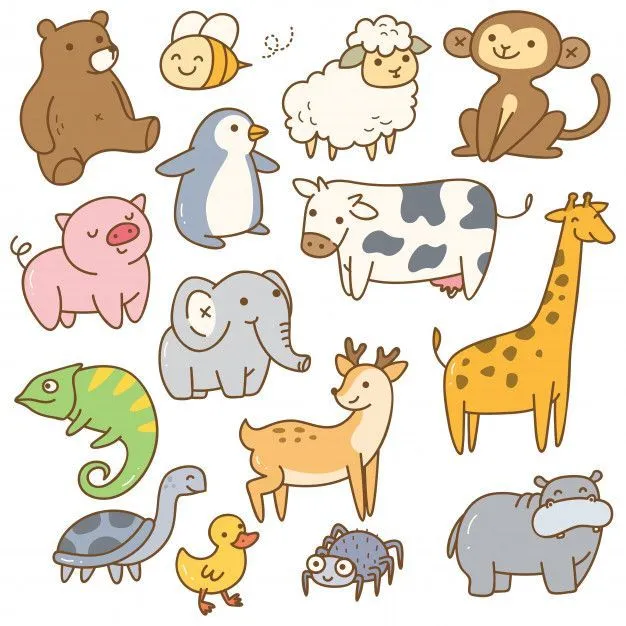 Animales Vertebrados e Invertebrados: VERDADERO O FALSO