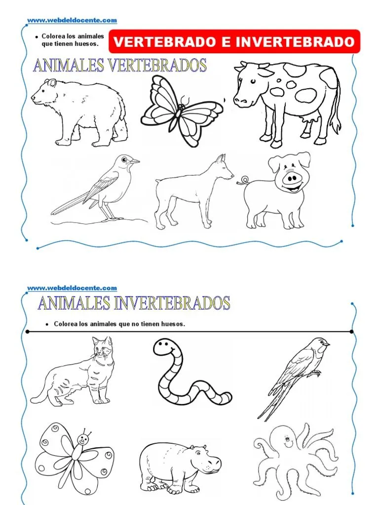 Animales Vertebrados e Invertebrados para Niños de 4 Años | PDF Animales Vertebrados e Invertebrados para Niños de 4 Años | PDF