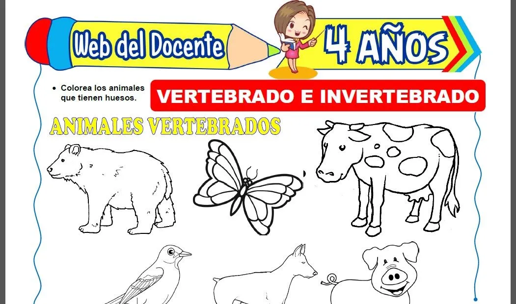 Animales Vertebrados e Invertebrados para Niños de 4 Años Animales Vertebrados e Invertebrados para Niños de 4 Años