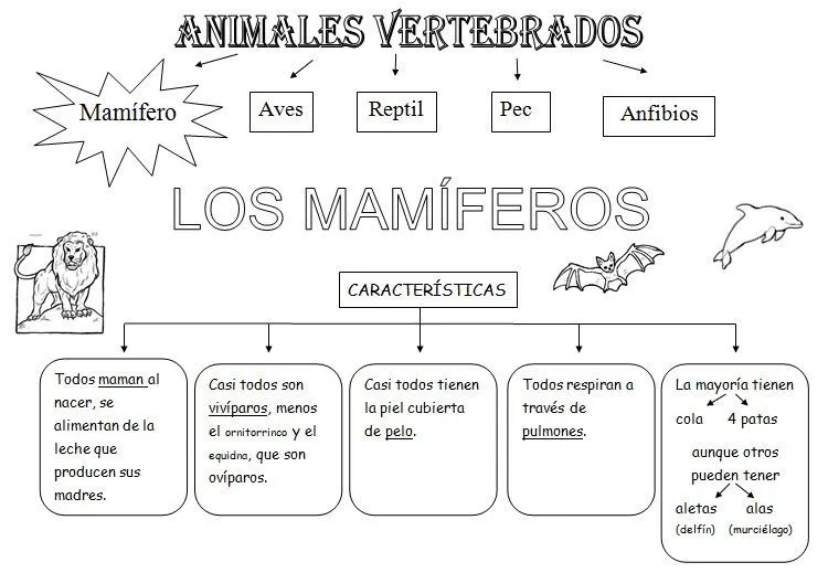 Dibujos de animales vertebrados e invertebrados para colorear ... Dibujos de animales vertebrados e invertebrados para colorear ...
