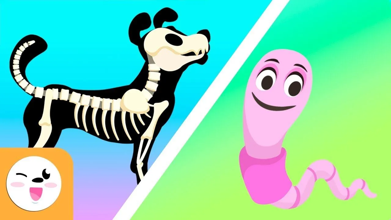 Los animales vertebrados e invertebrados para niños - Vídeos educativos para niños - YouTube Los animales vertebrados e invertebrados para niños - Vídeos educativos para niños - YouTube