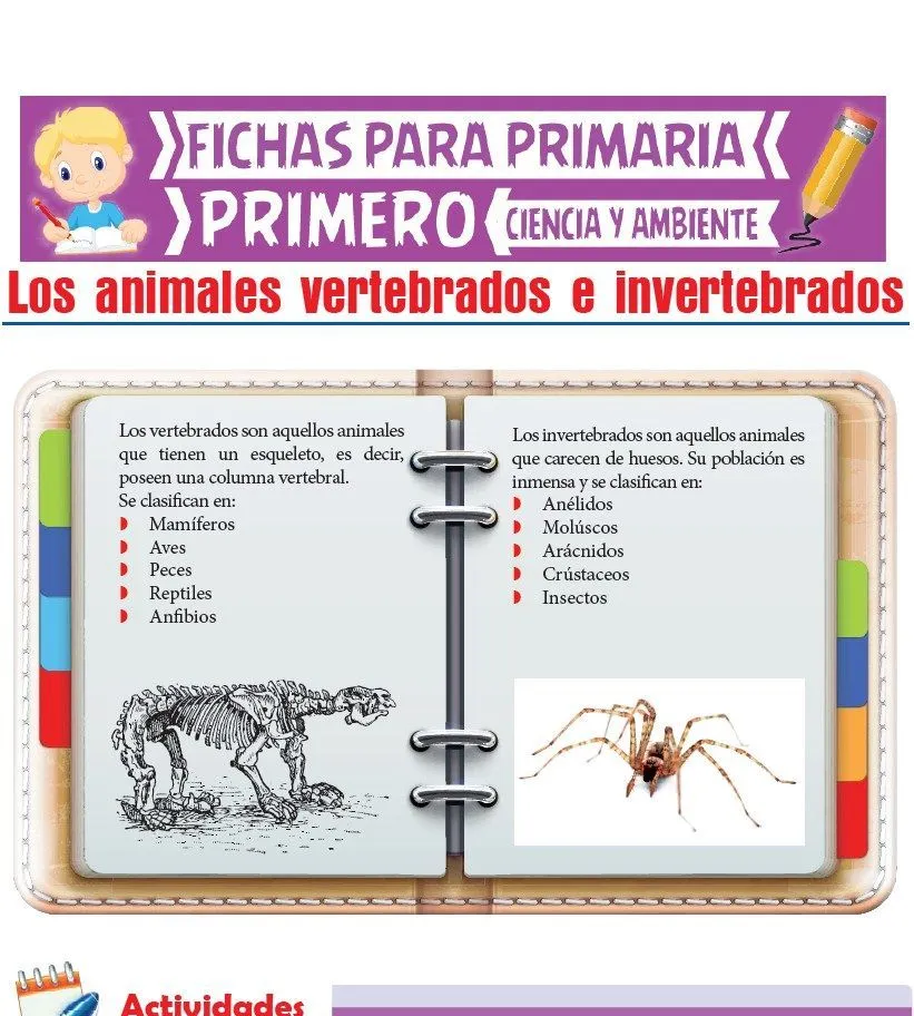 Los Animales Vertebrados e Invertebrados para Primero de Primaria Los Animales Vertebrados e Invertebrados para Primero de Primaria