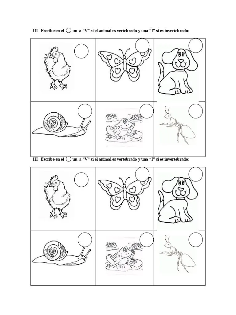 Animales Vertebrados e Invertebrados para Recortar | PDF | Animal Taxa | Taxa Animales Vertebrados e Invertebrados para Recortar | PDF | Animal Taxa | Taxa