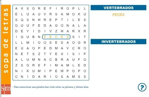 Animales vertebrados e invertebrados | Recurso educativo 36058 ... Animales vertebrados e invertebrados | Recurso educativo 36058 ...