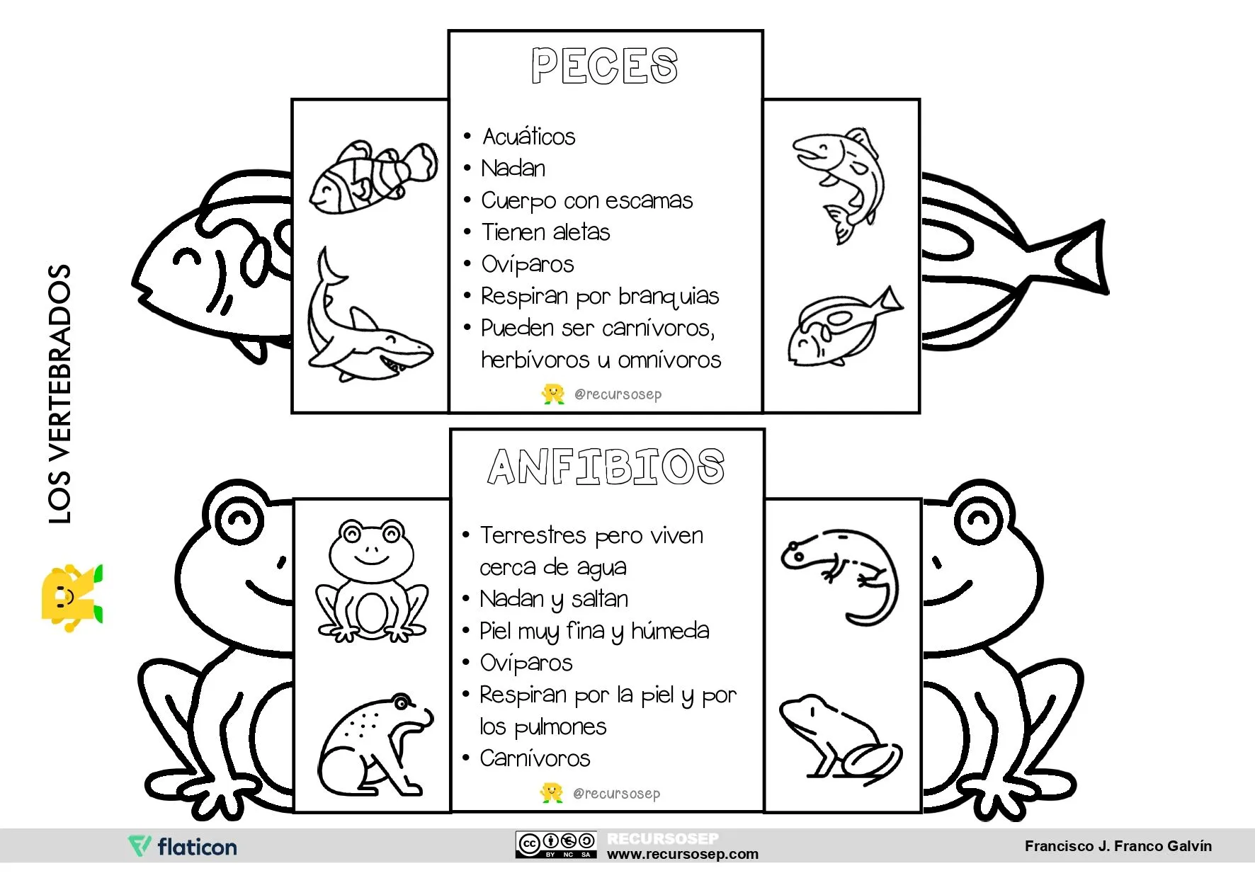 animales-vertebrados-material-plegable-recursosep – byn_page-0001