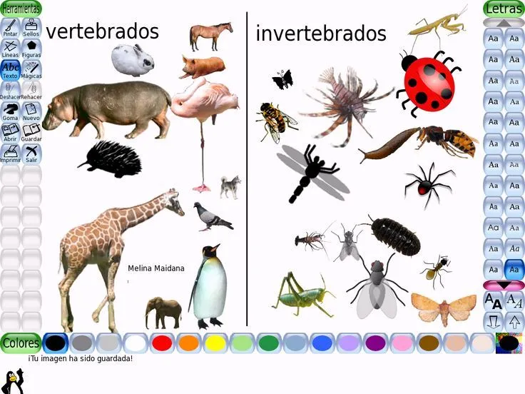 Los animales vertebrados se subdividen en: Mamiferos: perro, y ...