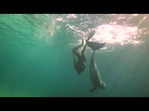 Animales en vídeo Una mujer y un delfín HD | Animales en Video