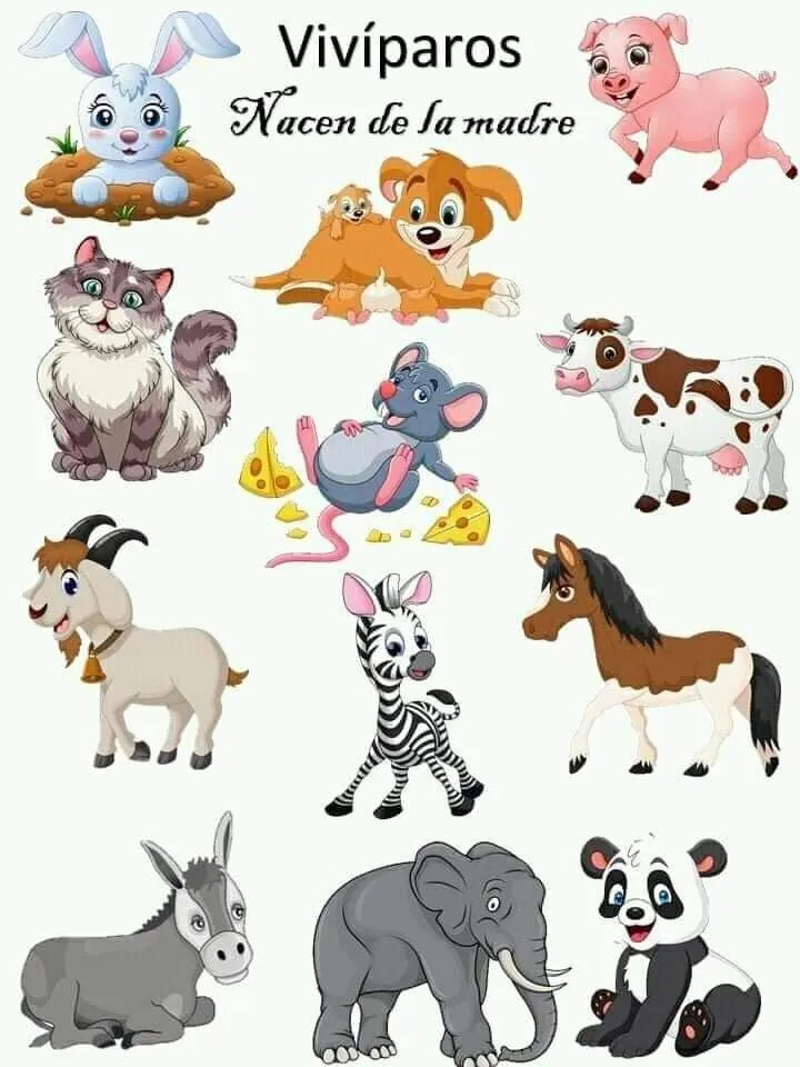 Animales vivíparos | Animales viviparos, Animales, Animales oviparos y viviparos Animales vivíparos | Animales viviparos, Animales, Animales oviparos y viviparos