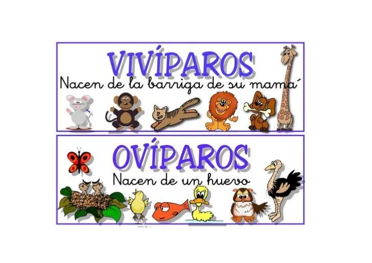 Animales vivíparos y ovíparos