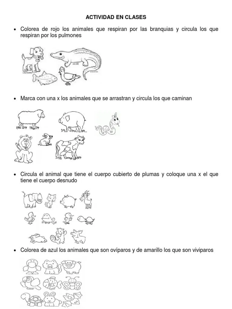▷ Animales viviparos y oviparos para colorear | Actualizado octubre 2023 ▷ Animales viviparos y oviparos para colorear | Actualizado octubre 2023