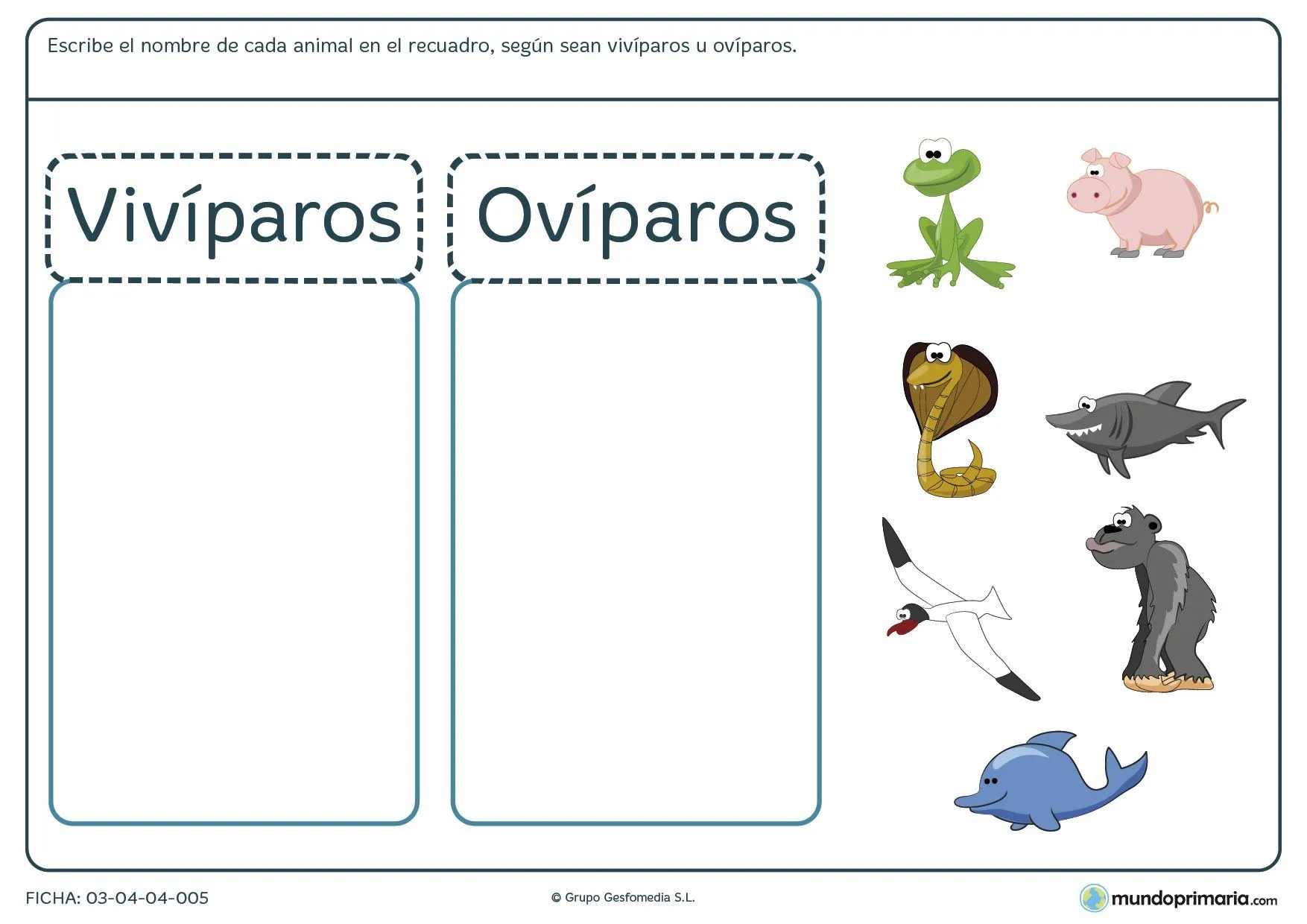 animales viviparos y oviparos para colorear | Animales viviparos, Ciencias  naturales, Reproduccion de los animales