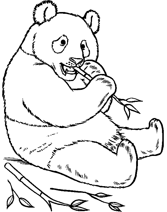 Zoo Animals Coloring 2.0 Google Play APK