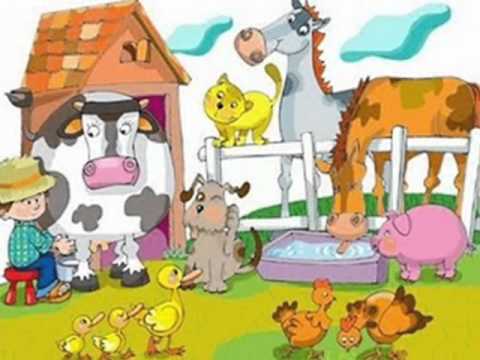 los animales.domesticos y de la selva - YouTube