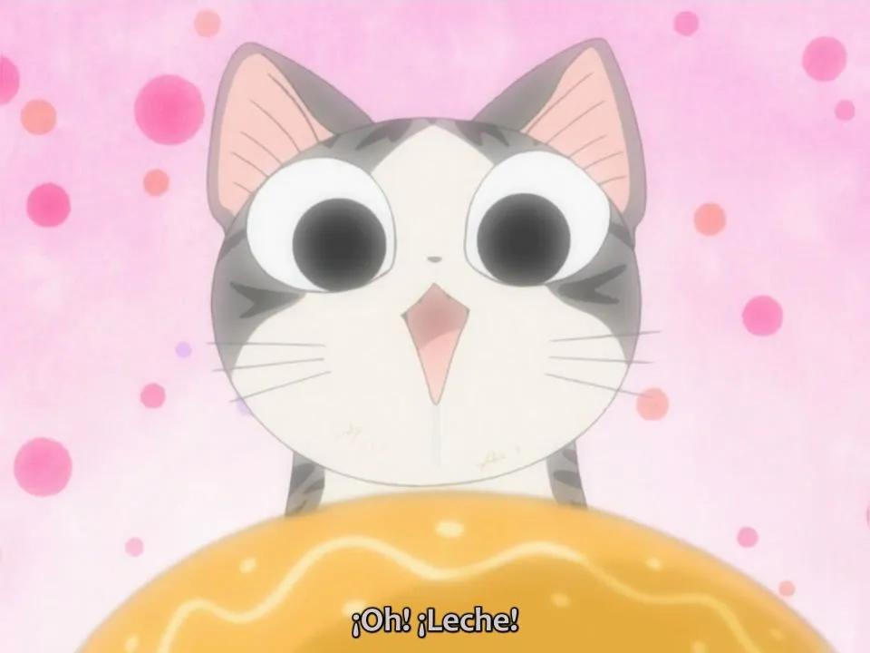 animalesdt: Chi's Sweet Home (conocido como el "gato que sale en ... animalesdt: Chi's Sweet Home (conocido como el "gato que sale en ...
