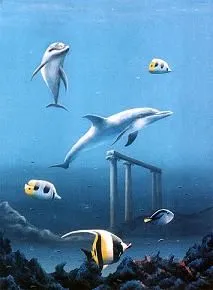Dibujos de delfines. Dibujos infantiles para colorear de delfines Dibujos de delfines. Dibujos infantiles para colorear de delfines