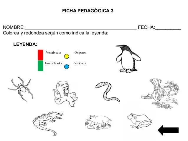 ANIMALIA. Guía completa sobre animales para niños ANIMALIA. Guía completa sobre animales para niños