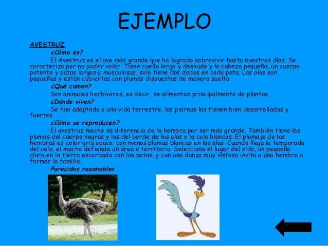 ANIMALIA. Guía completa sobre animales para niños ANIMALIA. Guía completa sobre animales para niños