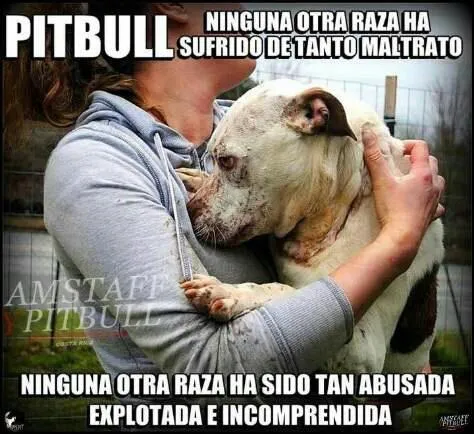 AnimalistasUnidos on Twitter: "PITBULL ninguna otra raza ha ... AnimalistasUnidos on Twitter: "PITBULL ninguna otra raza ha ...