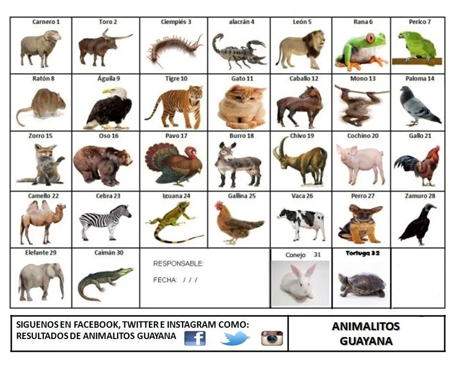 Animalitos Guayana på X: Animalitos Guayana på X:
