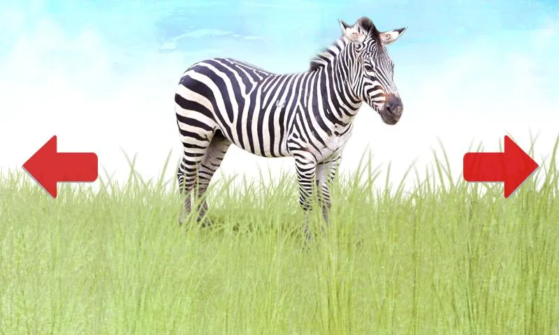 Animals for Kids - Android Apps on Google Play