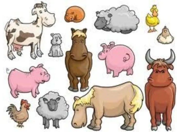 Animals de granja