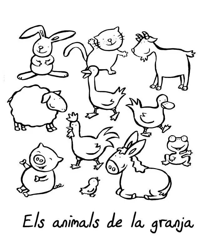 El blog dels vaixells: ... qui és?