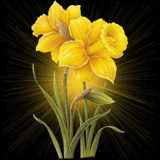 ANIMAROSAS: El color de las flores