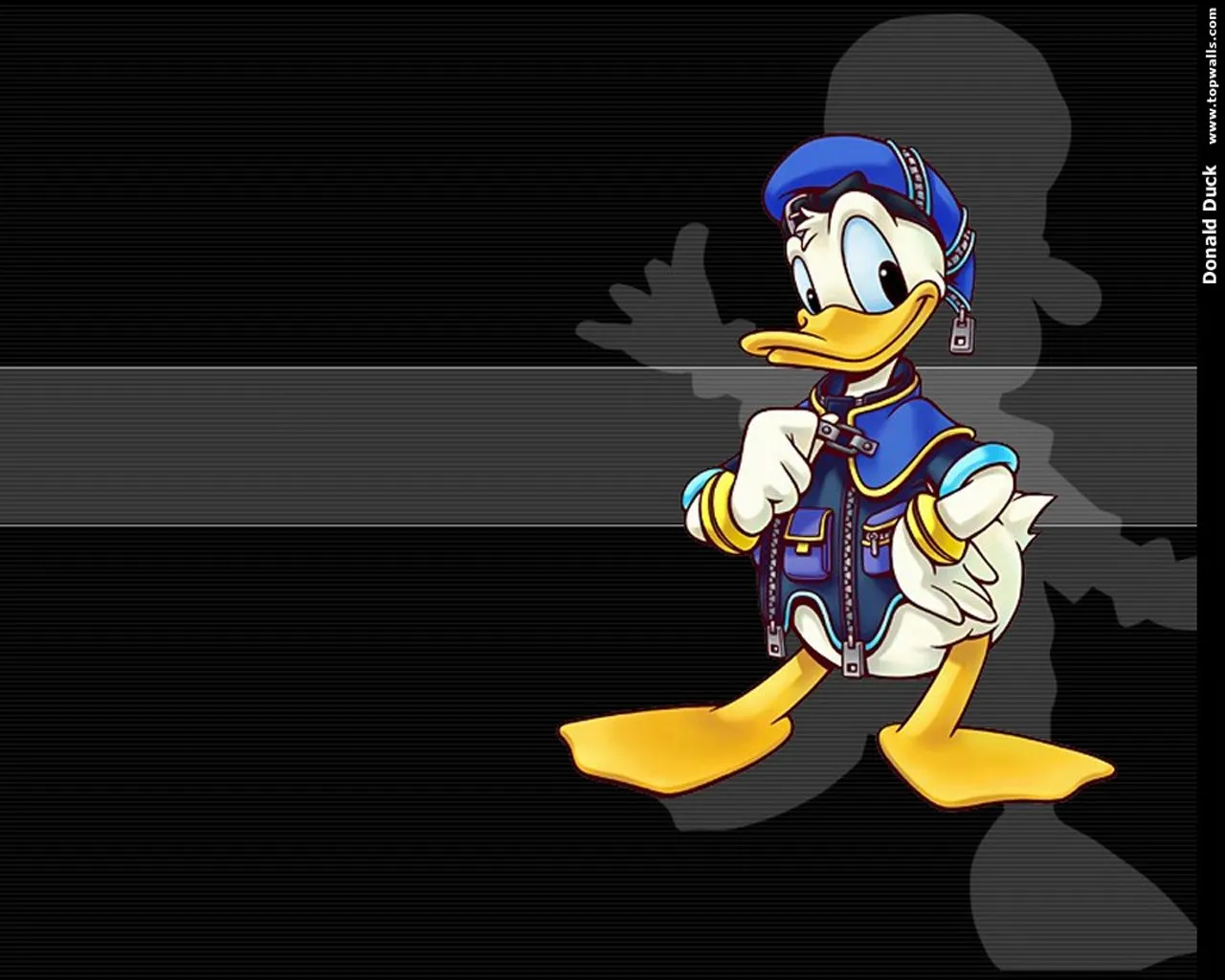 Animation Pictures Wallpapers: Donald Duck Wallpapers Animation Pictures Wallpapers: Donald Duck Wallpapers