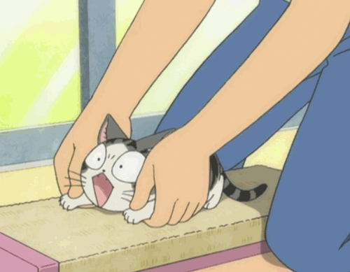 anime cat gif cute gif anime gif cute anime gif nice gif unlockedreams