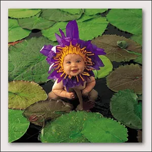 anne geddes anne geddes