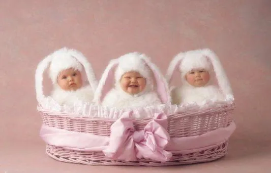 anne geddes gallery anne geddes gallery